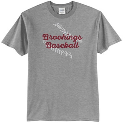 Summer Friends of Baseball 2016 03 Adult and Youth Port and Co 50/50 Blend Short Sleeve T Shirt